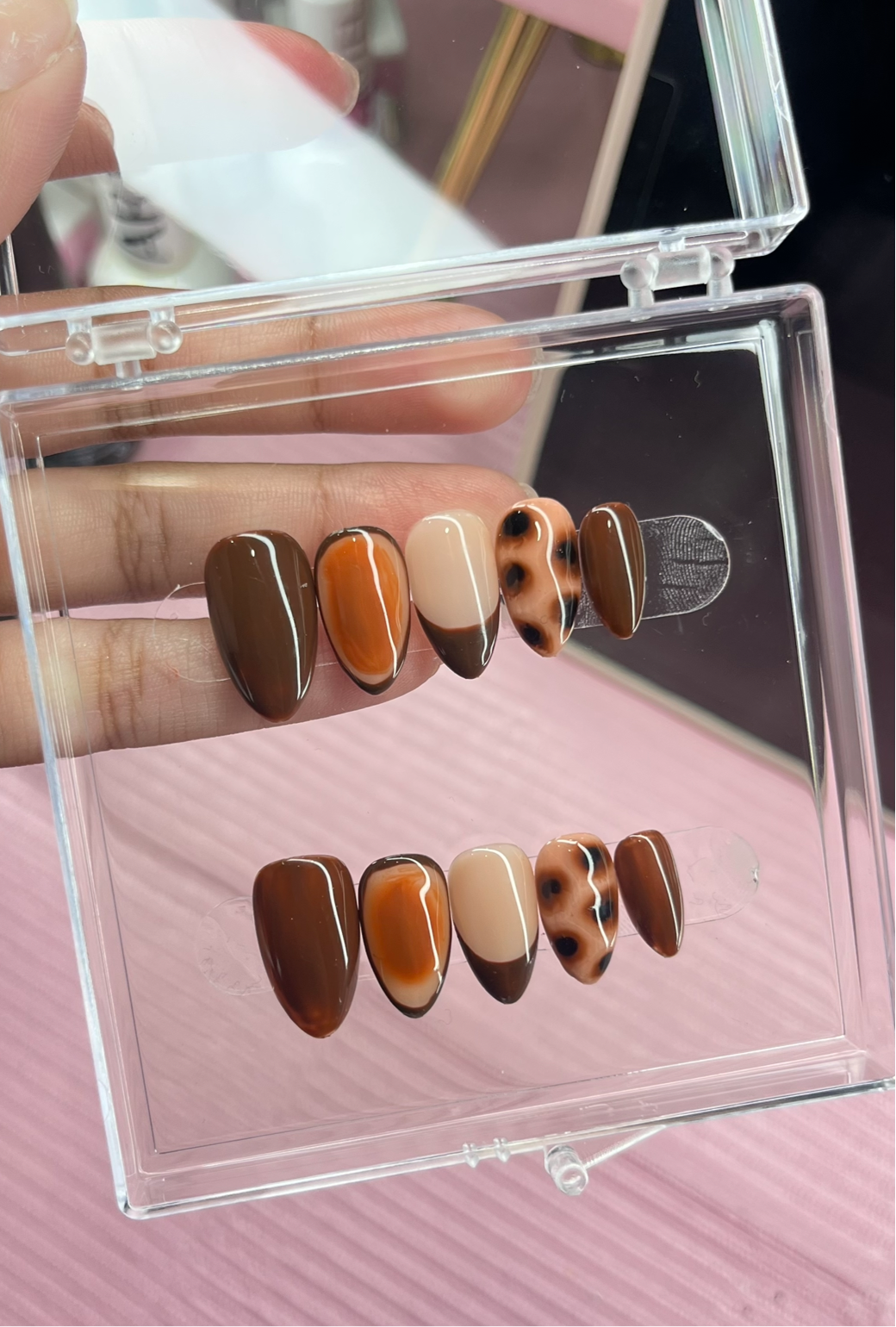 🍂Autumn Tortoise🍂