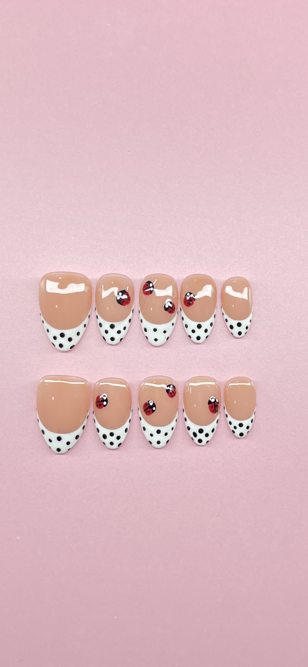 🐞Ladybug Love🐞